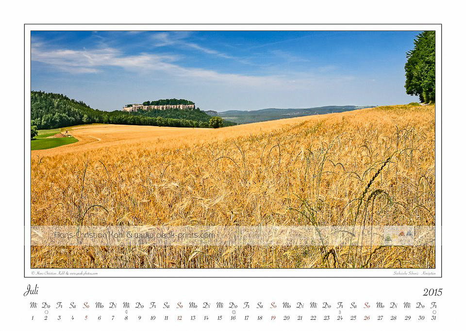 07-Juli-Traumlandschaft-Elbsandstein-2015-Tafelberg-Koenigstein-Kornfeld.jpg