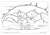 Die Postkarte zum Ausmalen; Postkarte Siebenschläfer. Zwei Siebenschläfer machen es sich in einer Höhle bequem und pennen. Der Siebenschläfer ist ein seltener, scheuer Bewohner des Felsengebirges.