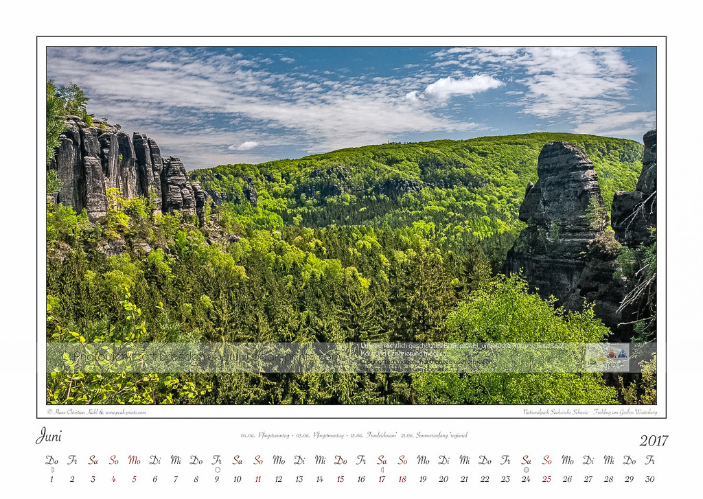 Traumlandschaft Elbsandstein 2017 Saechsische Schweiz, Frühling am Großen Winterberg, Juni