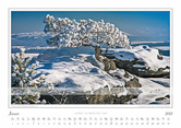01-Januar-Traumlandschaft-Elbsandstein-2015-Winter-Lilienstein.jpg